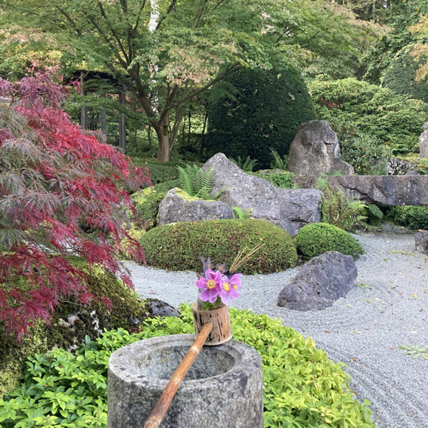 Nadim bei seinem Aufenthalt im Zen-Garten des Benediktushof, 2023